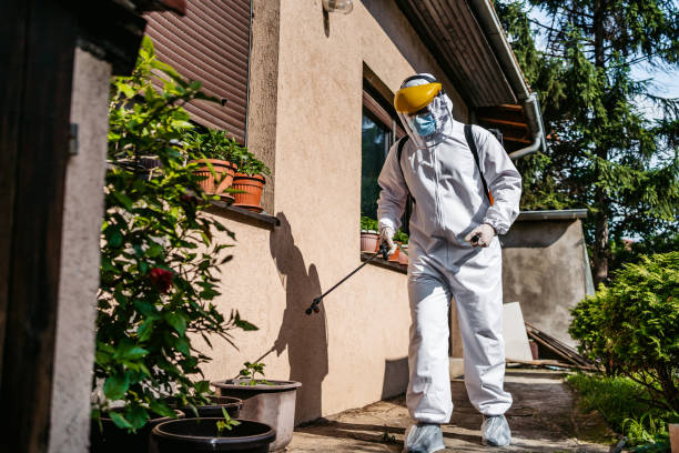Best Flea Control Services  in Shougal, WA