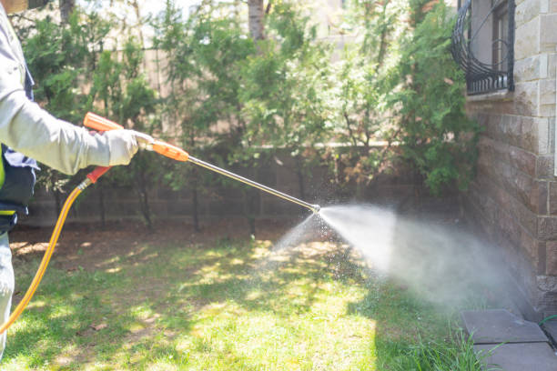Pest Control for Restaurants in Washougal, WA
