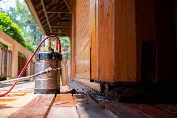 Best Affordable Exterminators  in Shougal, WA
