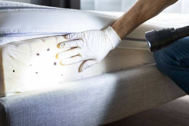 Best Commercial Pest Control Services  in Shougal, WA