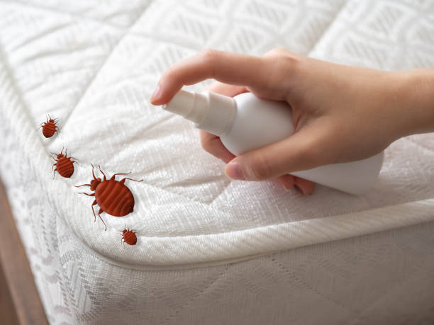 Pest Prevention Services in Washougal, WA